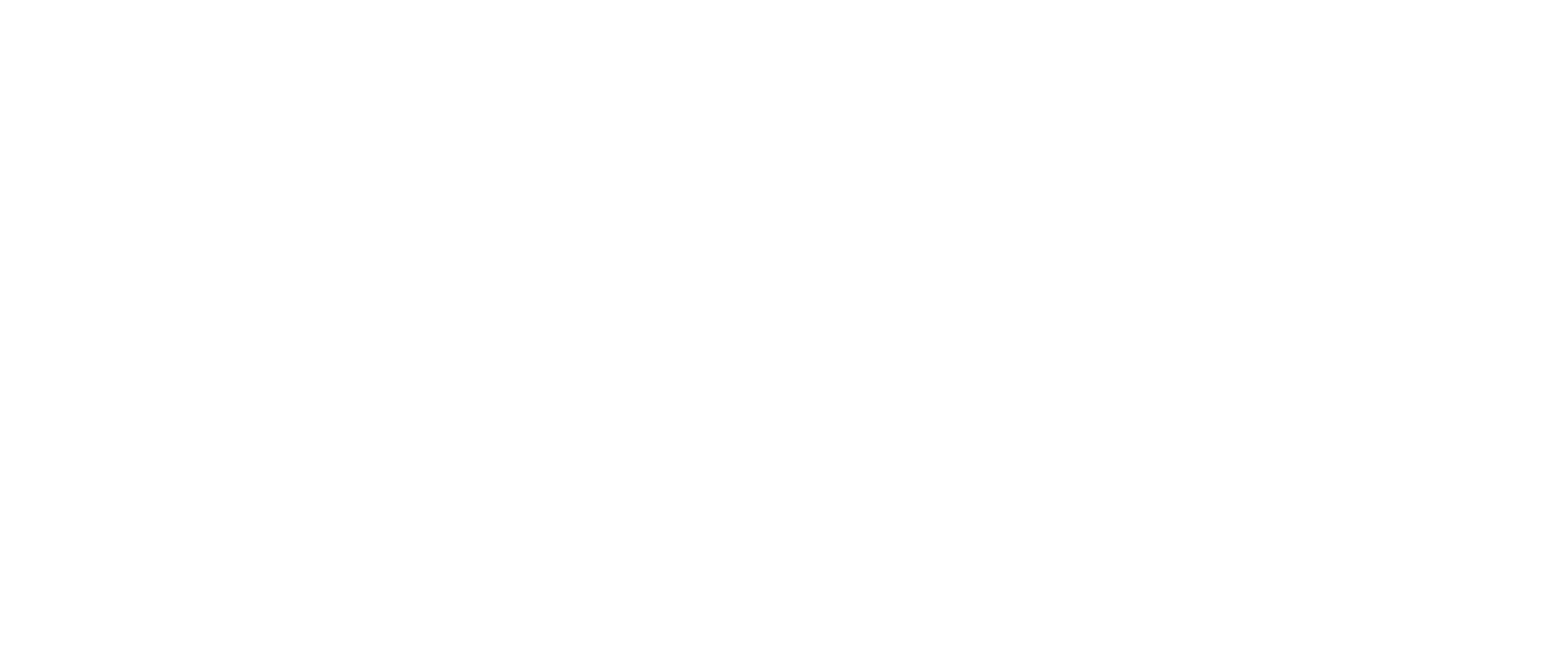 TLN logo